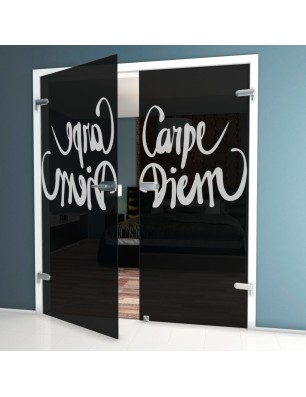 Ganzglastür Carpe Diem Gelasert Auf Grauglas