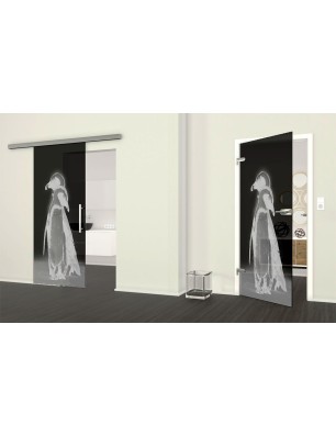 Ganzglastür Pinguine Gelasert Auf Grauglas