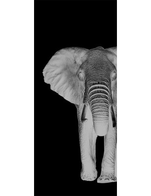 Ganzglastür Elefant 2 Gelasert Auf Grauglas