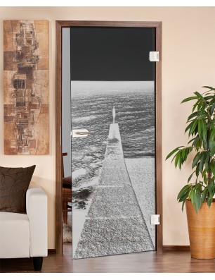 Ganzglastür Steg Gelasert Auf Grauglas