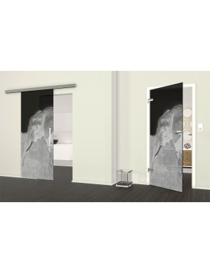 Ganzglastür Elefant 3 Gelasert Auf Grauglas