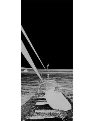 Ganzglastür Boot 3 Gelasert Auf Grauglas