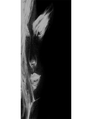 Pendeltür Silhuette Gelasert Auf Klarglas