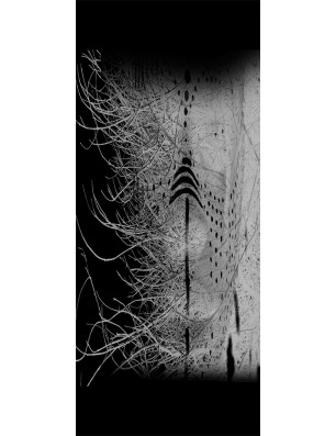 Pendeltür Abstrakt 7 Gelasert Auf Klarglas