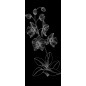 Pendeltür Blume 9 Gelasert Auf Klarglas Pendeltür Blume 9 Gelasert Auf Klarglas