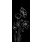 Pendeltür Blume 10 Gelasert Auf Klarglas Pendeltür Blume 10 Gelasert Auf Klarglas