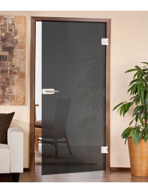 Glastüren - Ganzglastür Dark Grey