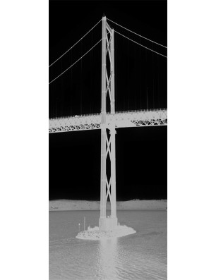 Pendeltür Golden Gate Gelasert Auf Klarglas