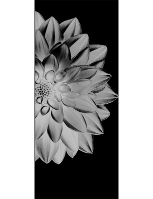 Pendeltür Blume 4 Gelasert Auf Klarglas