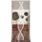 Pendeltür "DNA" Gelasert Auf Klarglas Pendeltür "DNA" Gelasert Auf Klarglas