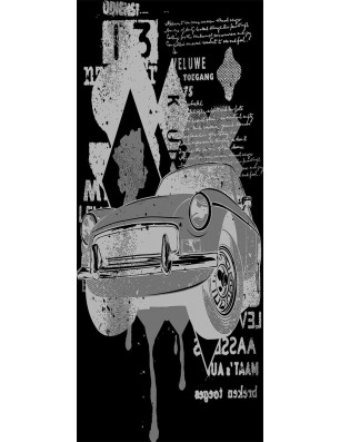 Pendeltür Auto Gelasert Auf Klarglas