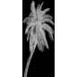Pendeltür Palme Gelasert Auf Klarglas Pendeltür Palme Gelasert Auf Klarglas