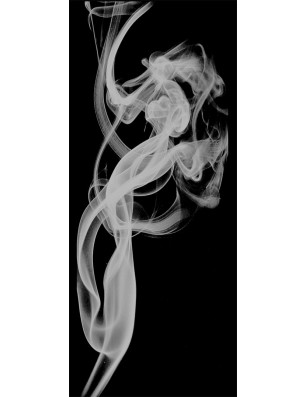 Pendeltür Rauch Gelasert Auf Klarglas