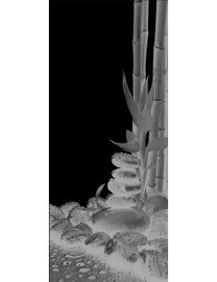 Pendeltür Wellness 4 Gelasert Auf Grauglas