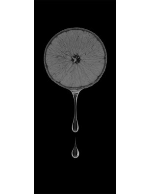 Pendeltür Orange Gelasert Auf Grauglas