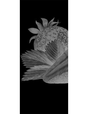 Pendeltür Erdbeere 2 Gelasert Auf Grauglas