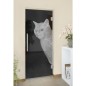 Pendeltür Cats Gelasert Auf Grauglas Pendeltür Cats Gelasert Auf Grauglas