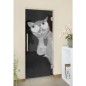 Pendeltür Drinking Cat Gelasert Auf Grauglas Pendeltür Drinking Cat Gelasert Auf Grauglas