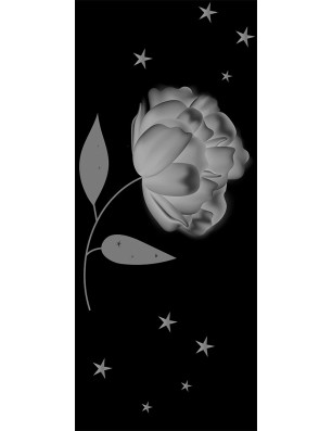 Pendeltür Blume Gelasert Auf Grauglas