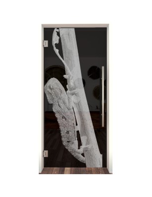 Pendeltür Camelion Gelasert Auf Grauglas