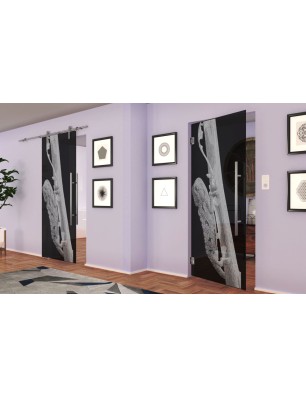 Pendeltür Camelion Gelasert Auf Grauglas