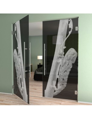 Pendeltür Camelion Gelasert Auf Grauglas