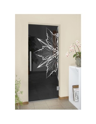 Pendeltür Eis Gelasert Auf Grauglas