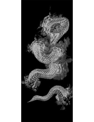 Pendeltür Dragon Gelasert Auf Grauglas