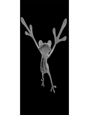 Pendeltür Crazy Frog Gelasert Auf Grauglas