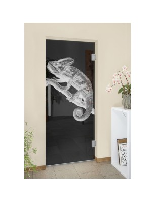 Pendeltür Camelion II Gelasert Auf Grauglas