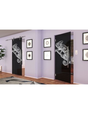 Pendeltür Camelion II Gelasert Auf Grauglas