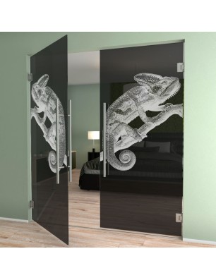Pendeltür Camelion II Gelasert Auf Grauglas