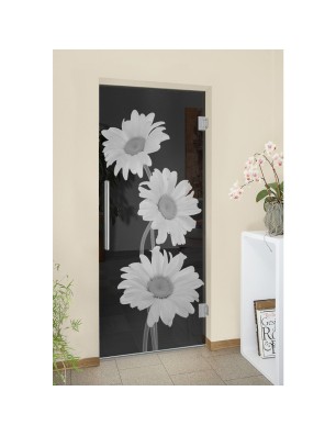 Pendeltür Kamille Gelasert Auf Grauglas