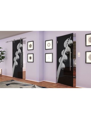 Pendeltür Maikäfer Gelasert Auf Grauglas