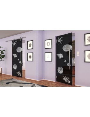 Pendeltür Muscheln II Gelasert Auf Grauglas