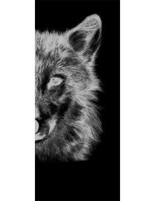 Pendeltür Wolf 4 Gelasert Auf Grauglas