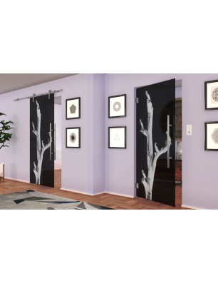 Pendeltür Vögel Gelasert Auf Grauglas