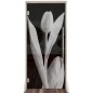 Pendeltür Tulpe Gelasert Auf Grauglas