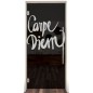 Pendeltür Carpe Diem Gelasert Auf Grauglas Pendeltür Carpe Diem Gelasert Auf Grauglas