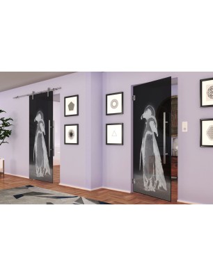 Pendeltür Pinguine Gelasert Auf Grauglas