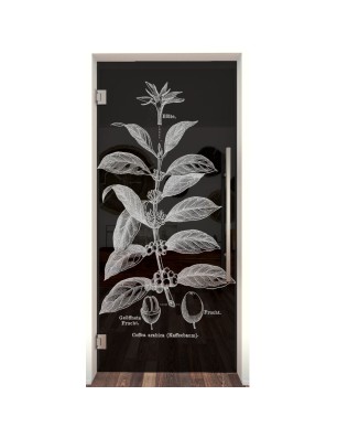 Pendeltür Kaffeepflanze Gelasert Auf Grauglas