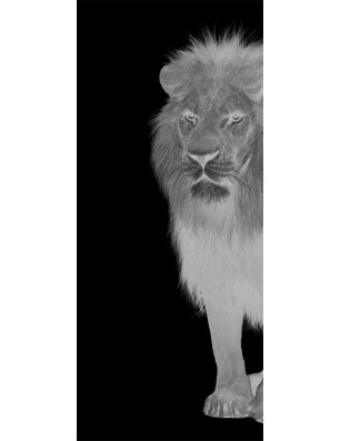 Pendeltür Löwe Gelasert Auf Grauglas