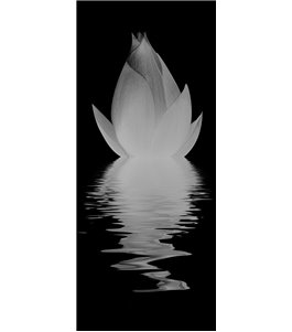 Glasschiebetür ECO-LINE Lotus Gelasert Auf Klarglas