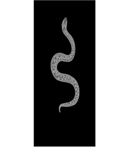 Glasschiebetür ECO-LINE Snake Gelasert Auf Grauglas
