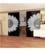 Glasschiebetür ECO-LINE Sonnenblume Gelasert Auf Grauglas