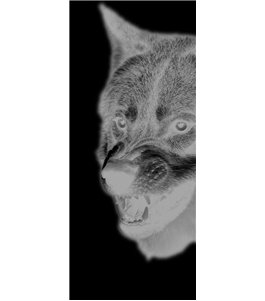 Glasschiebetür SLIM-LINE Wolf Gelasert Auf Klarglas