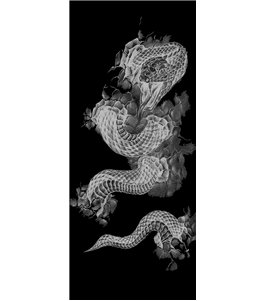 Glasschiebetür SLIM-LINE Dragon Gelasert Auf Klarglas