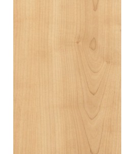Holztüren - Türblatt CPL - Ahorn Rustikal mit Lichtausschnitt