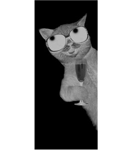 Glasschiebetür SLIM-LINE Drinking Cat Gelasert Auf Grauglas