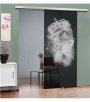 Glasschiebetür SLIM-LINE Lionking Gelasert Auf Grauglas